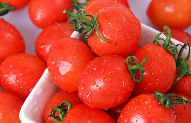 吃瓜网红圣女果视频,吃瓜群众的美食新宠